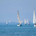20211208001117-cff36d98.jpg