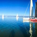 20220109094803-f6dbd923.jpg