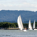 20220122225155-2466e568.jpg