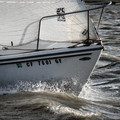 20220122225307-4563f259.jpg