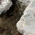 20220316223710-da5e6d04.jpg