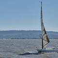 20220717073846-5229ee55.jpg