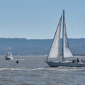 20220717074332-86394ac7.jpg