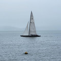 20220802202424-92b417d6.jpg