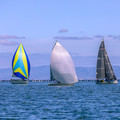 20230410210157-7d3389f1.jpg