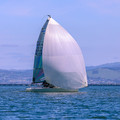 20230410210159-6bd90b17.jpg